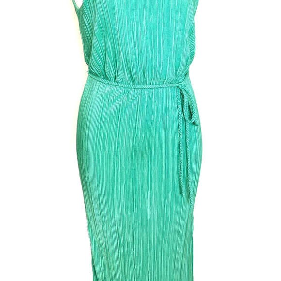 New York & Company Green Mirco Pleated Midi Dress - Picture 6 of 15